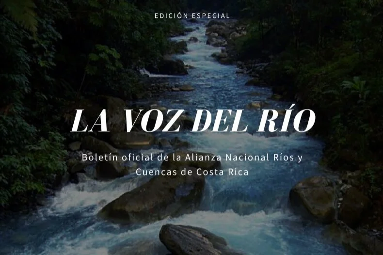 Edición Especial Agosto, 2020