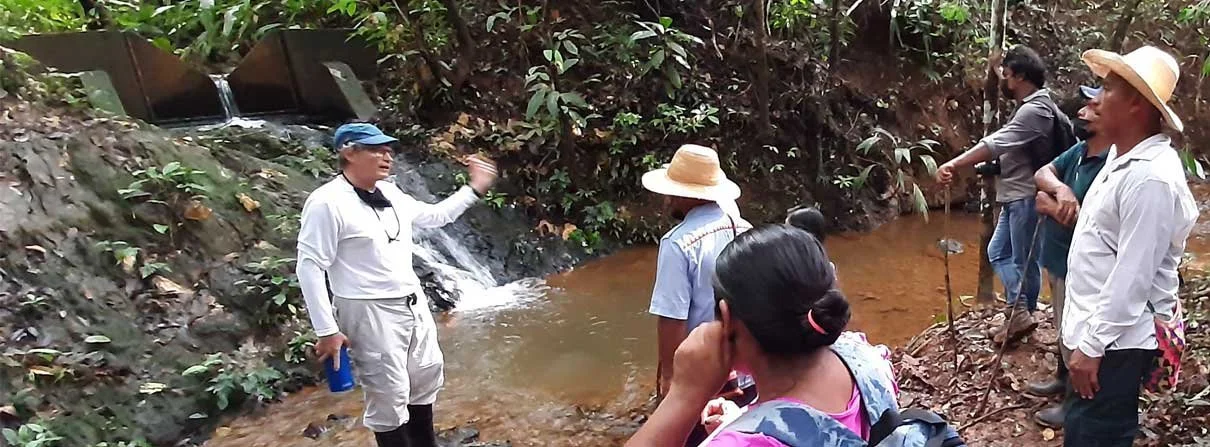 Panamá prueba estrategias de reforestación para cumplir objetivo de restaurar 50 mil hectáreas de bosque