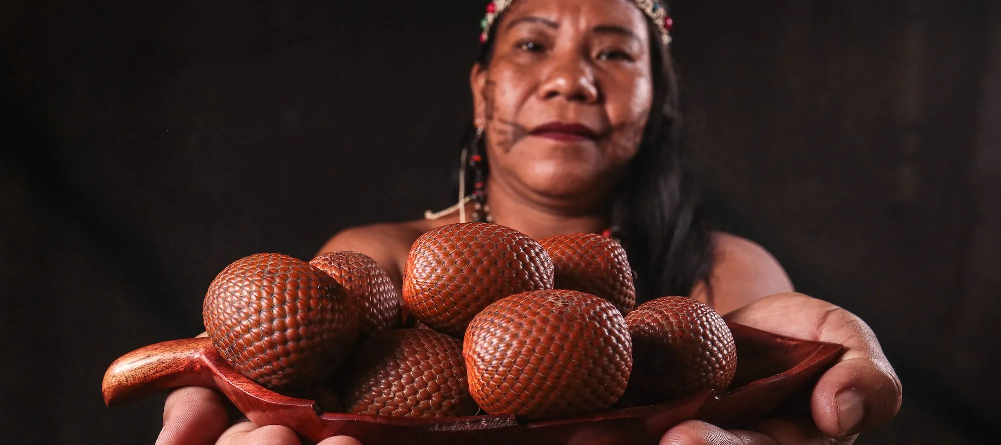 El oro de los humedales: mujeres indígenas murui-muina reforestan palma de canangucha en zonas degradadas de Colombia