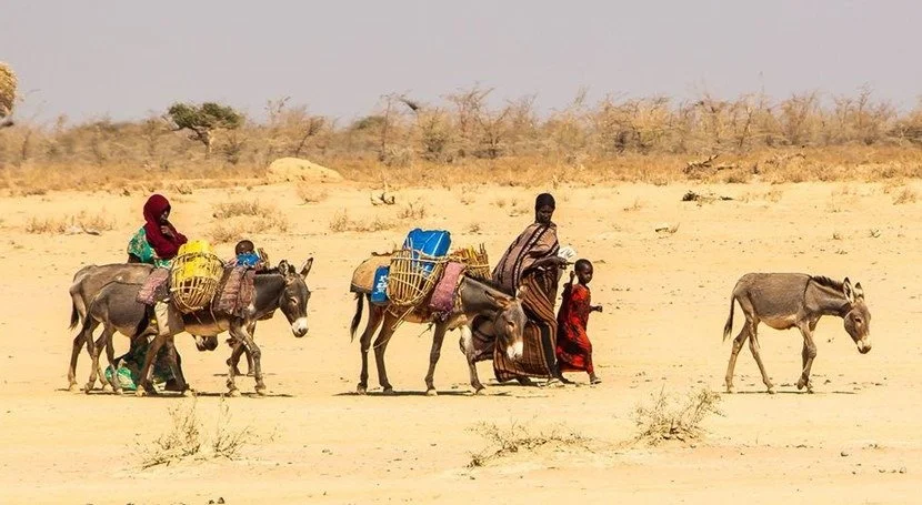 Millones de personas están en riesgo de morir de hambre por la sequía en el Cuerno de África