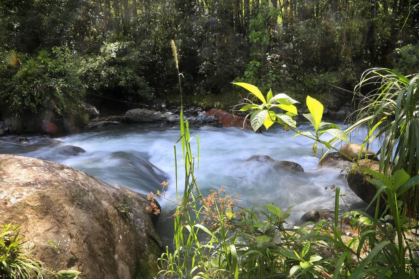 Las áreas de protección de los ríos