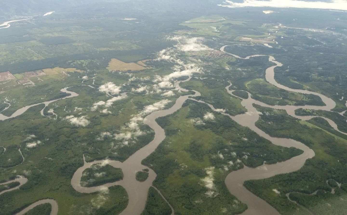 Humedales, riqueza ambiental sin la debida protección