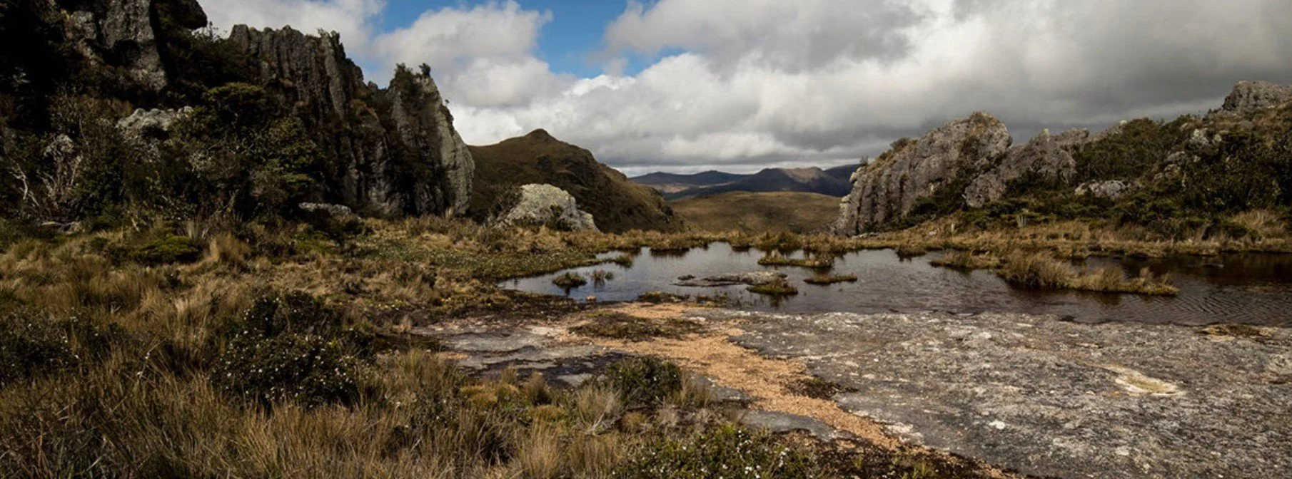 La minería amenaza el páramo de Fierro Urku: la estrella hídrica del sur de Ecuador