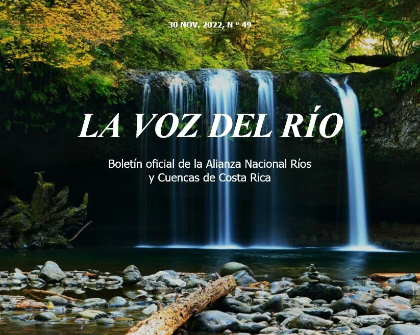 Edición Noviembre, 2022. N° 49