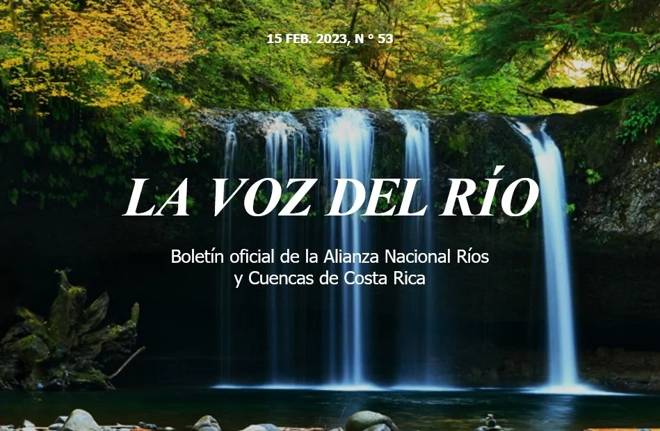 Boletín 15 FEB 2023 N 53