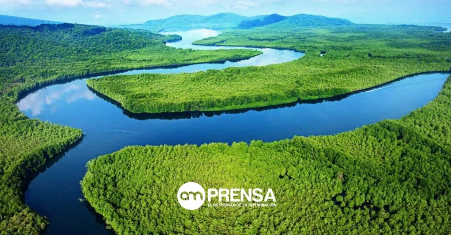 Fertilizantes agrícolas están contaminando a dos de los humedales más importantes de Costa Rica