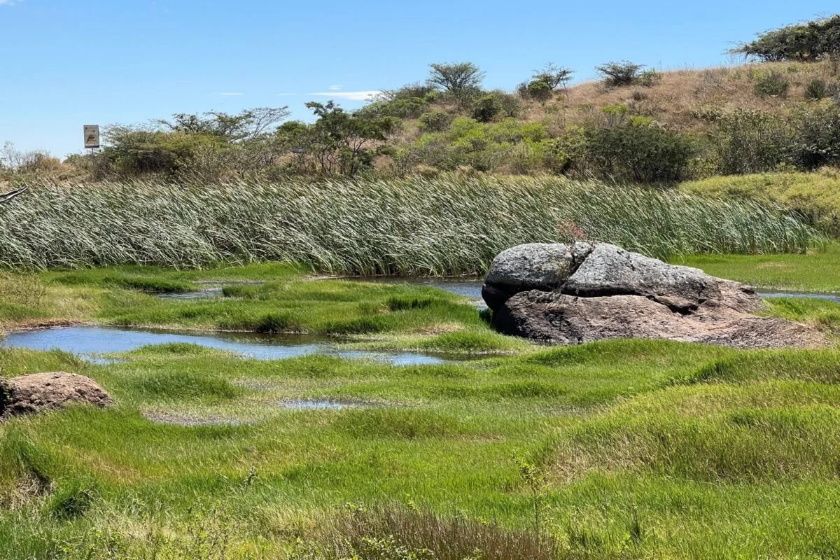 ¿Cómo lograron que el agua volviera a las comunidades de Catacocha en Ecuador?