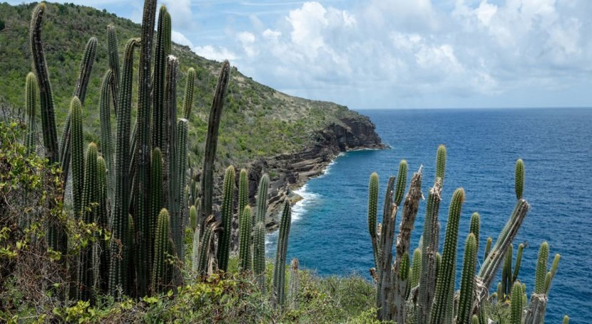 El cambio climático amenaza a 41 millones de personas en la costa de América Latina y el Caribe