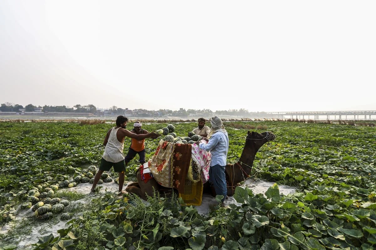 La humanidad ha alterado el ciclo de la vida en los ríos del planeta