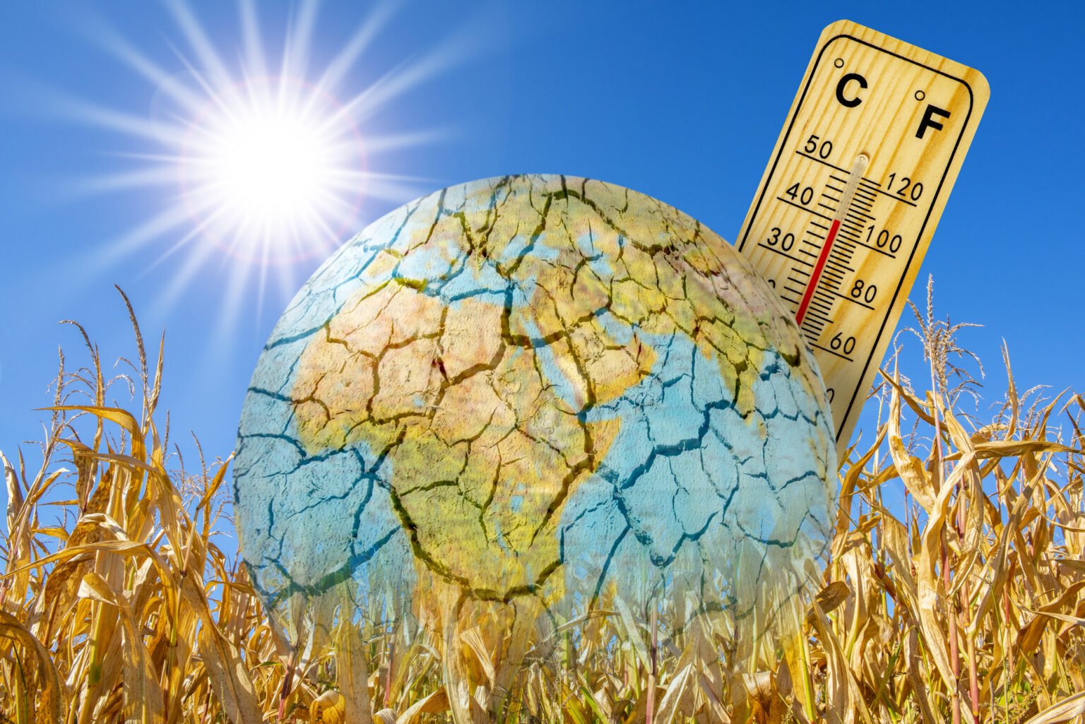 Financiación contra el cambio climático por parte los países ricos, la asignatura pendiente