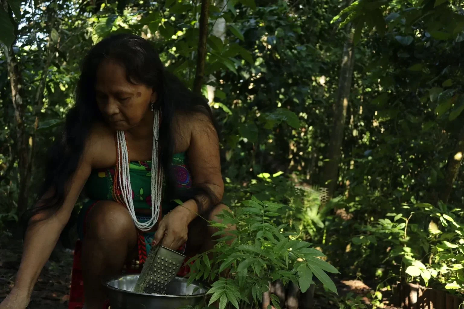 COP16: El reto de proteger a quienes resguardan la biodiversidad