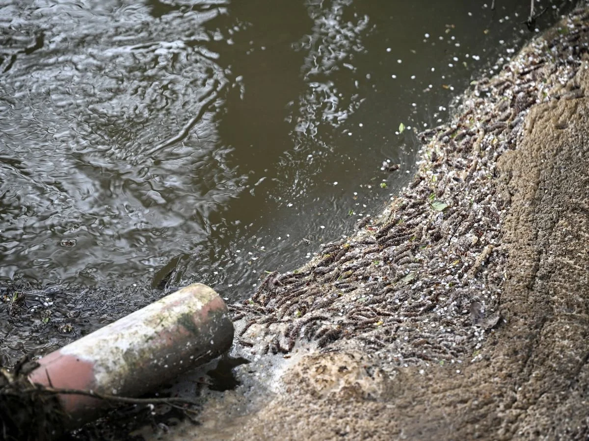 El estado del agua en Europa: cada vez menos y más contaminada