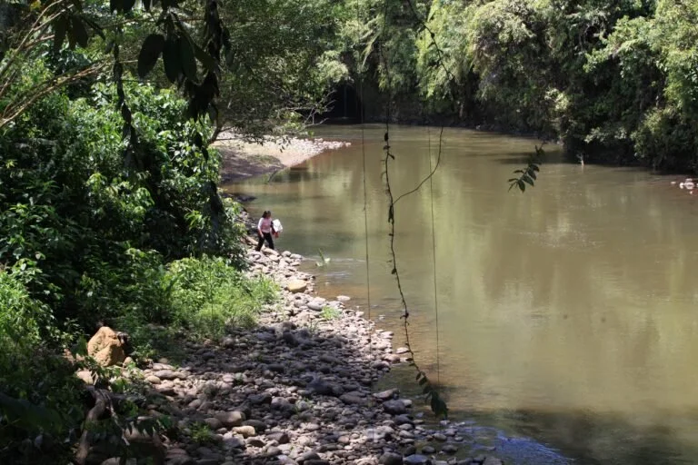 Investigadores encuentran microplásticos en peces de dos ríos de la Amazonía ecuatoriana