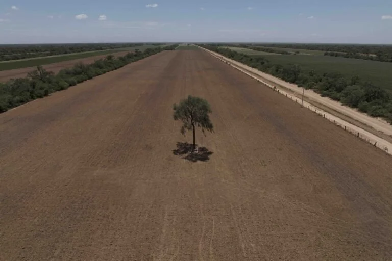 Unión Europea modifica y posterga por un año la entrada en vigencia de la ley de deforestación cero