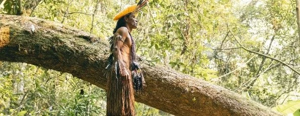 COP 16. La economía regenerativa es posible