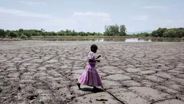 Sales en los suelos afectan a la décima parte de las tierras