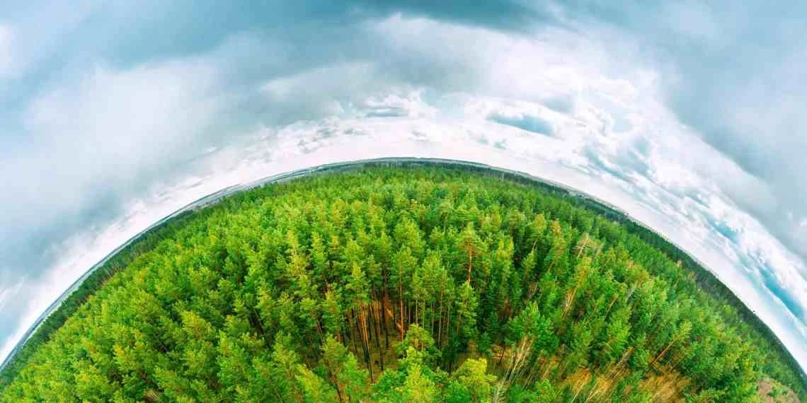 El ambicioso plan para convertir la mitad del mundo en una reserva natural