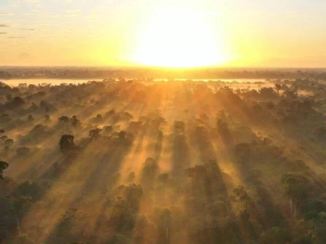 Lo más destacado de la conservación en 2024