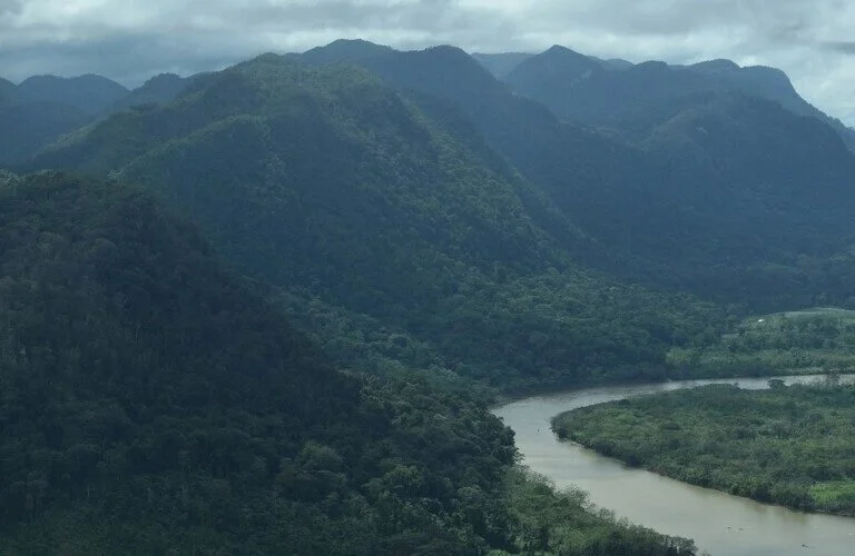 Honduras: comunidades indígenas buscan crear una reserva ante la desaparición del bosque de La Mosquitia