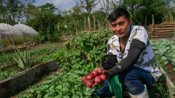Seguridad alimentaria y agua, prioridad para pueblos fronterizos en América Central