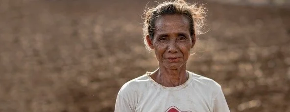 Bosques y agricultura. Una unión para alimentar el mundo