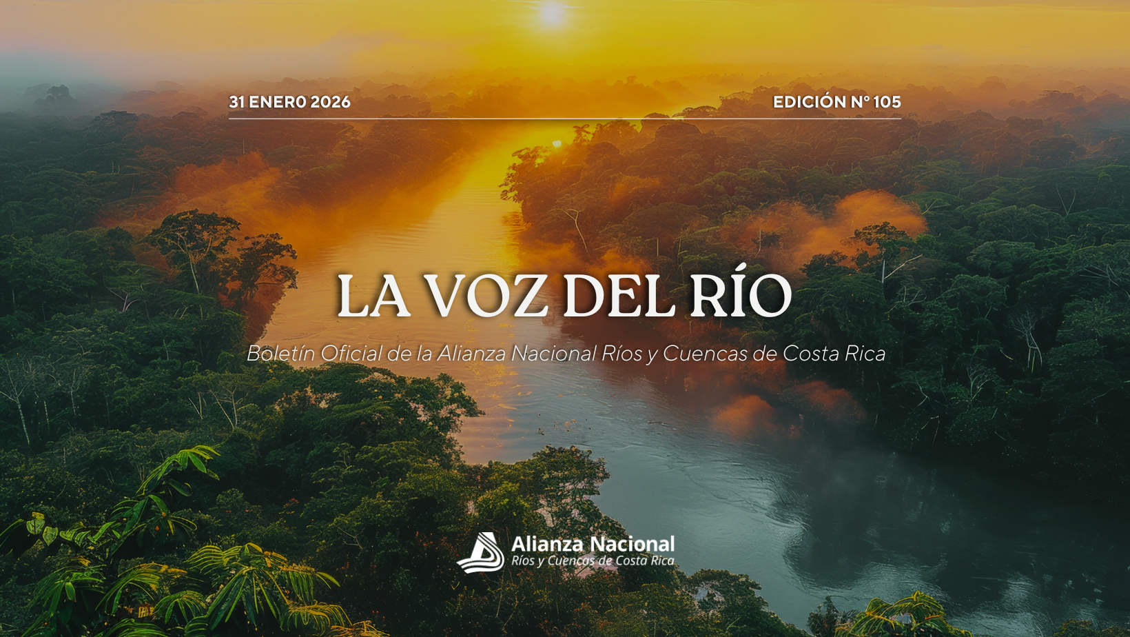 Boletín 31 de Enero N.º 105