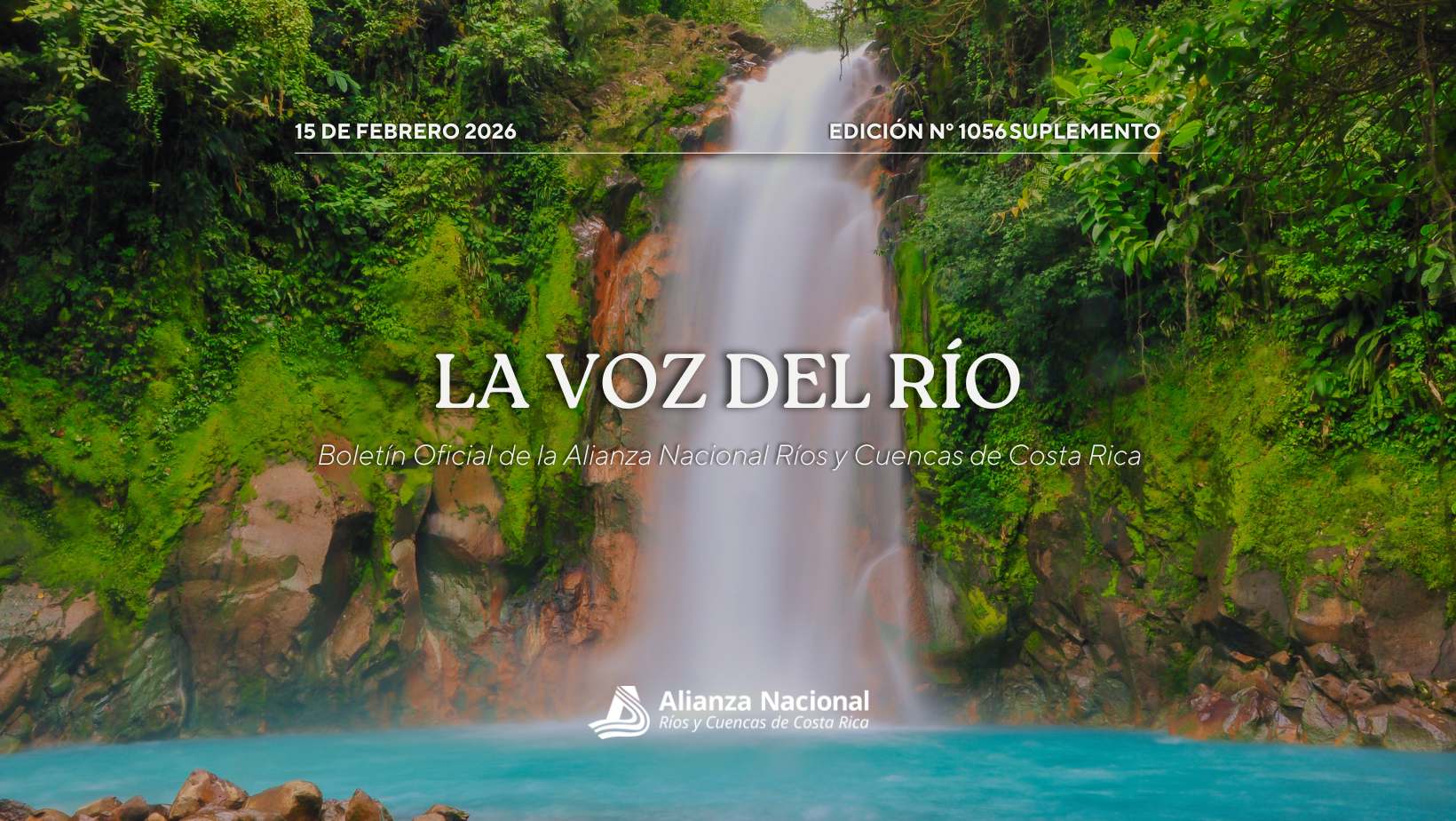 Boletín 15 de Febrero N.º 106 (Suplemento)