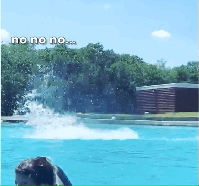 moses no no no try again.gif