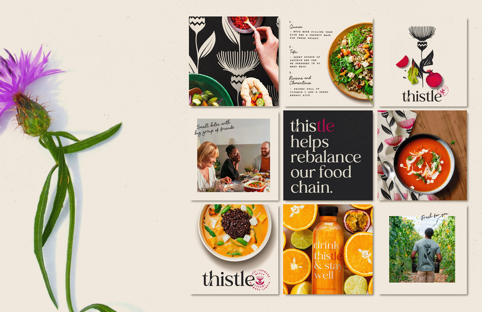 Thistle_06.png