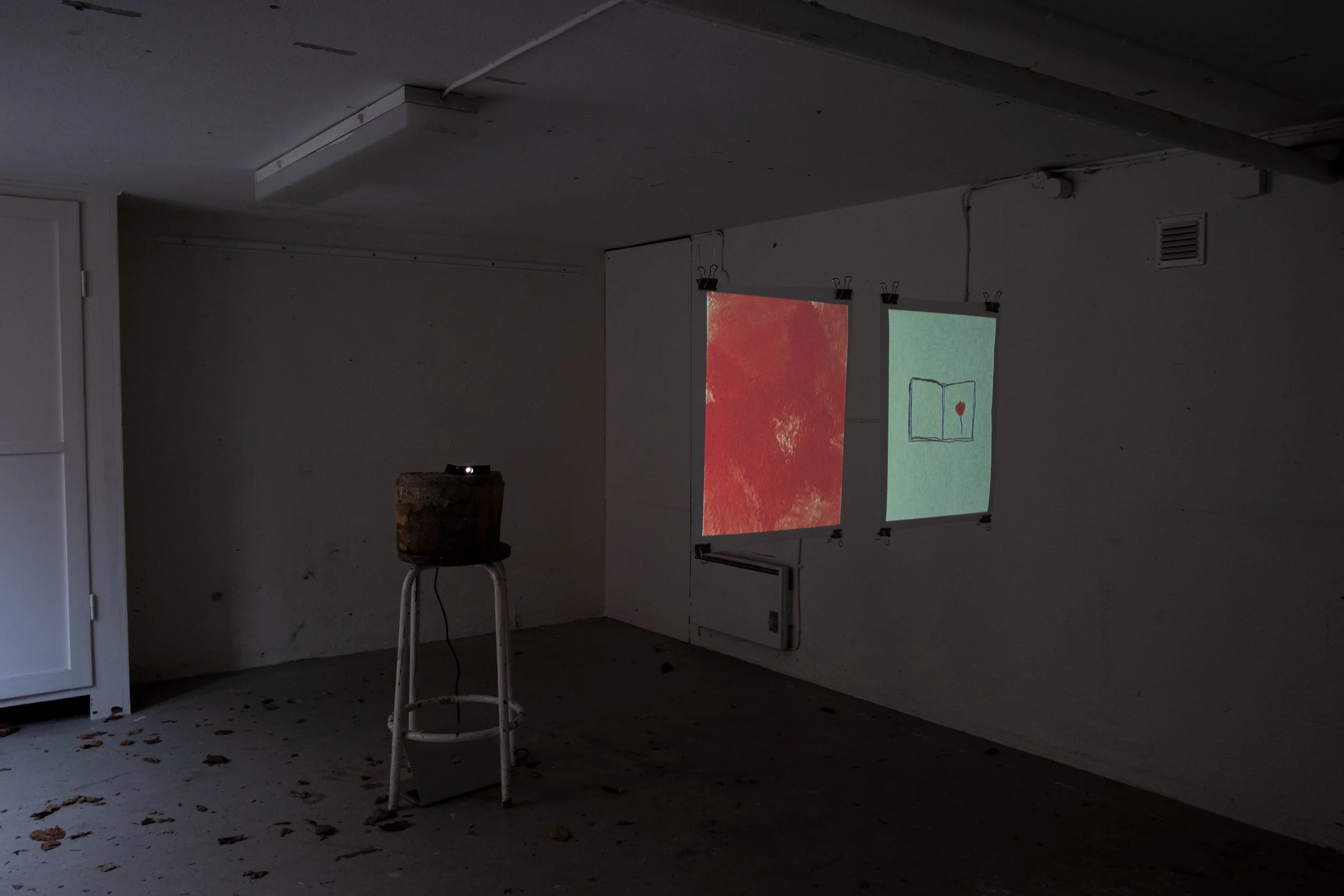 Installationsbild_3.jpg