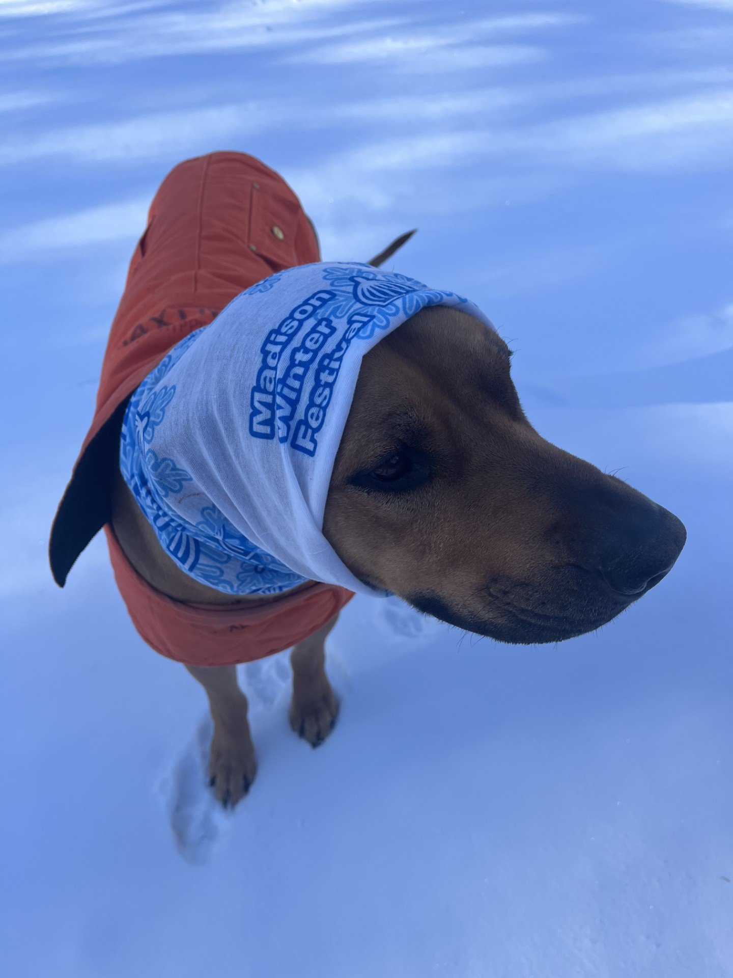 Lies Between Us podcast, episode #32: The 8 Disciplines of Great Listening