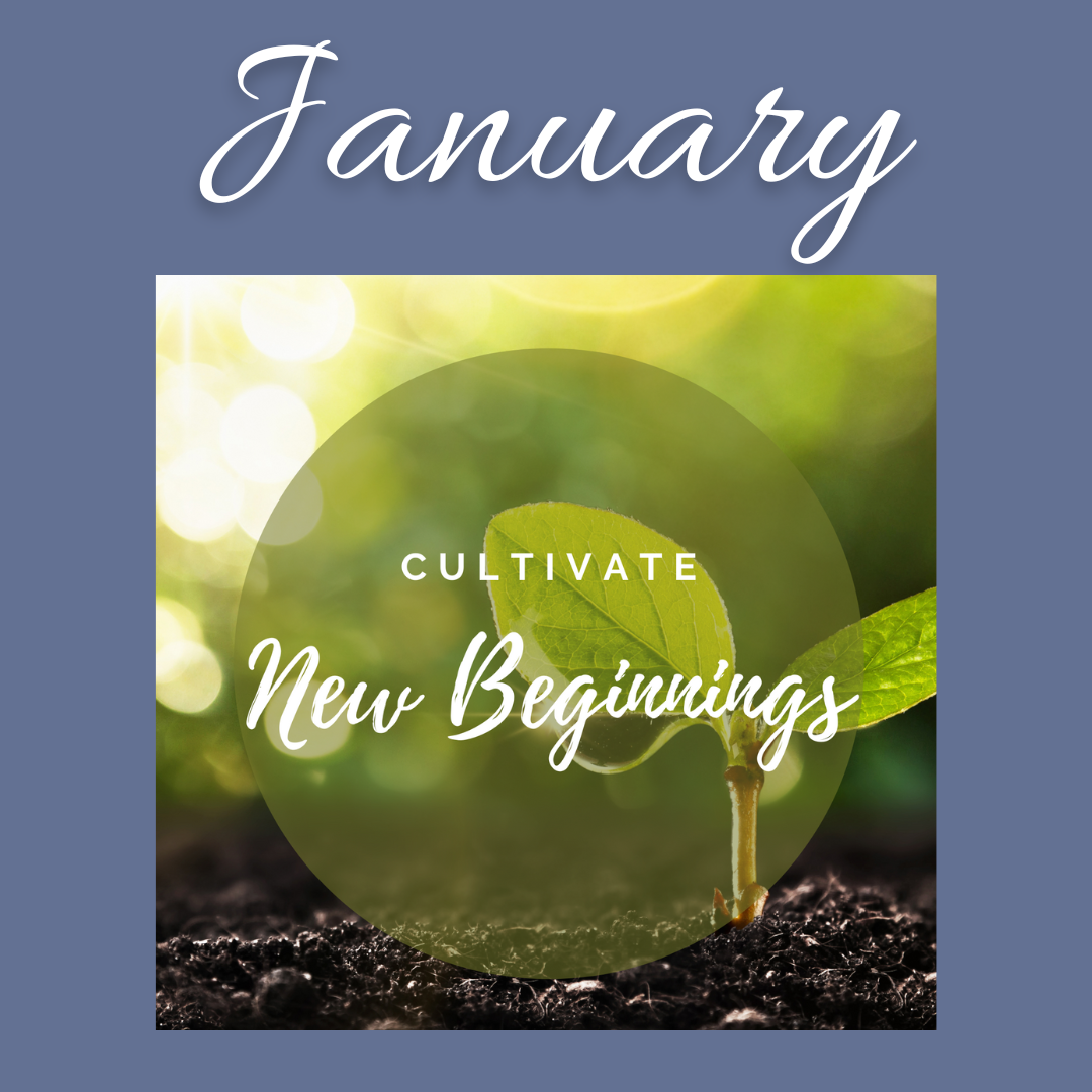 New Beginnings