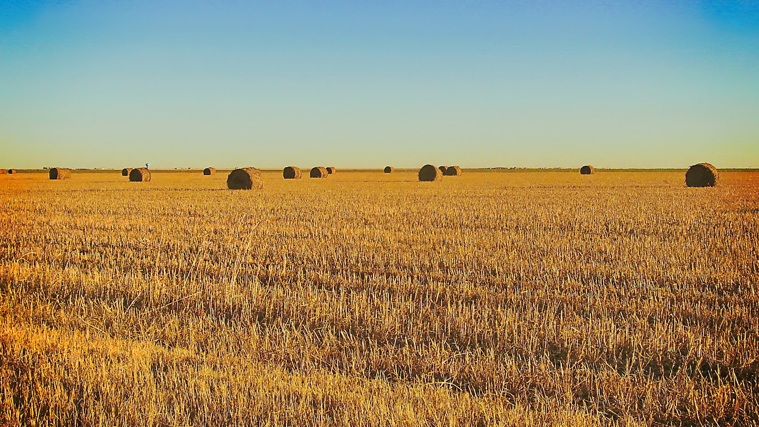 Petersen Ranches-Kenny and Andra Petersen