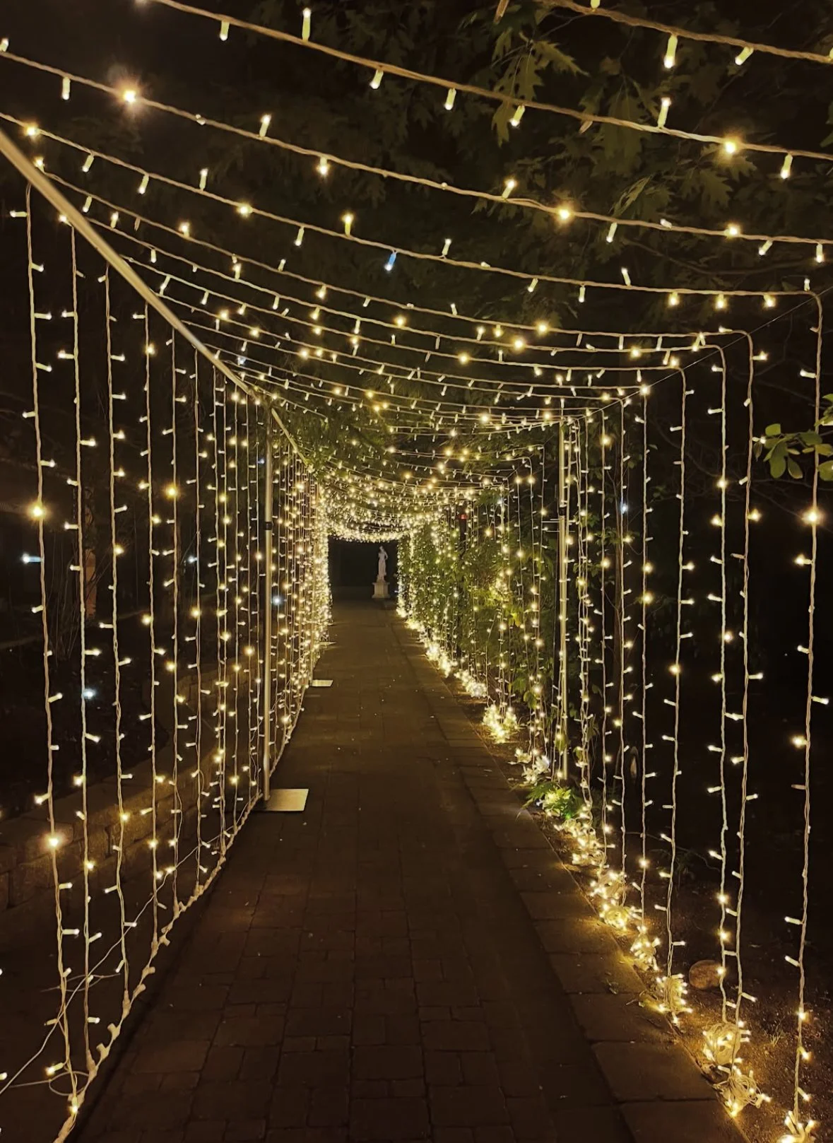 A pathway illuminated with hanging string lights forming a tunnel, with greenery and small plants along the sides.