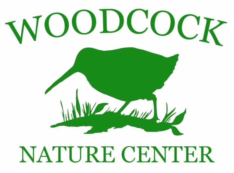 Woodcock Nature Center Frothy Forage