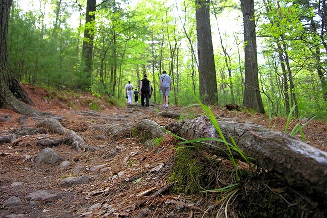 Spring Mindfulness Hike with Cindy By Nature