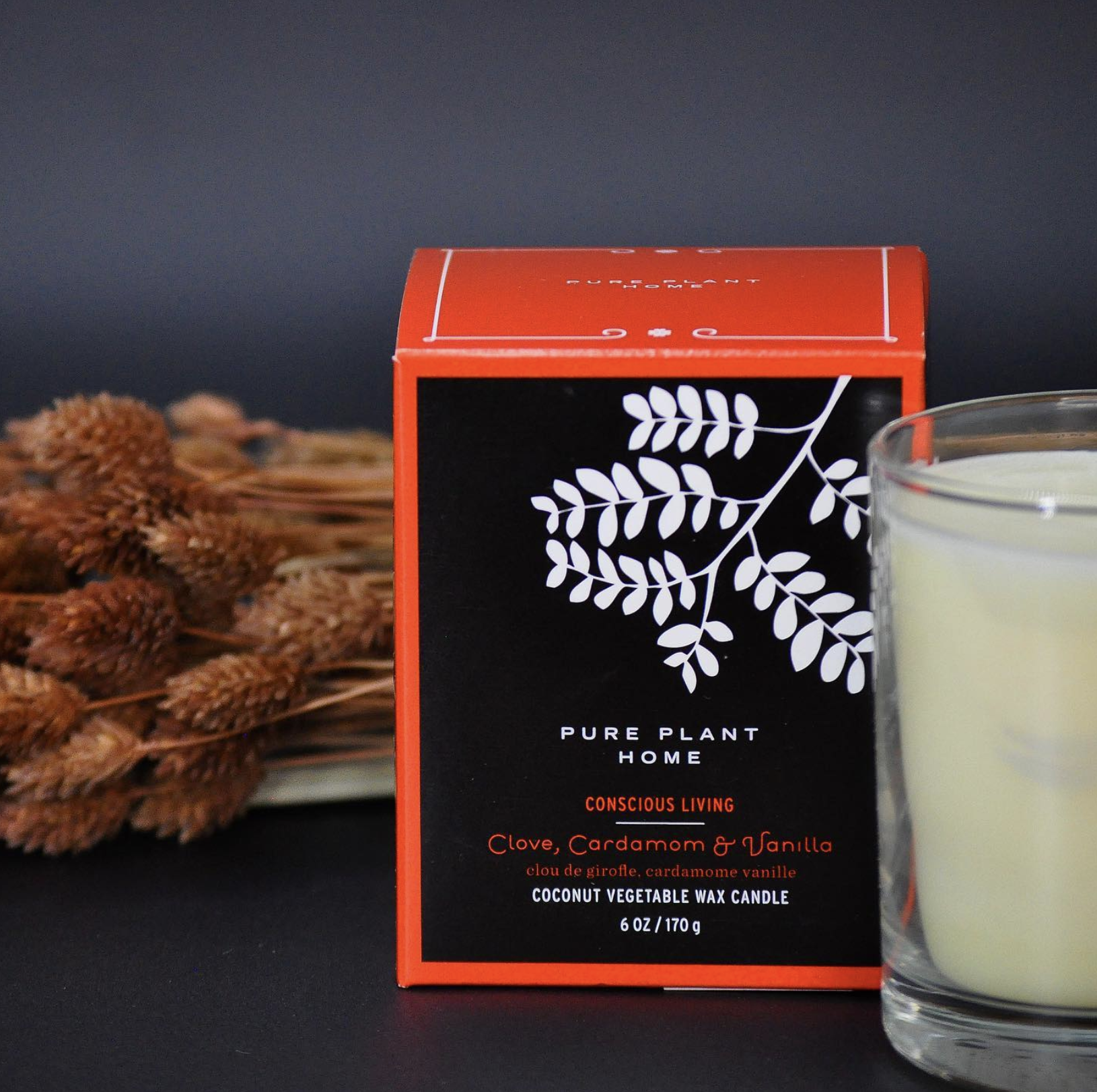Pure Plant Home Candles
