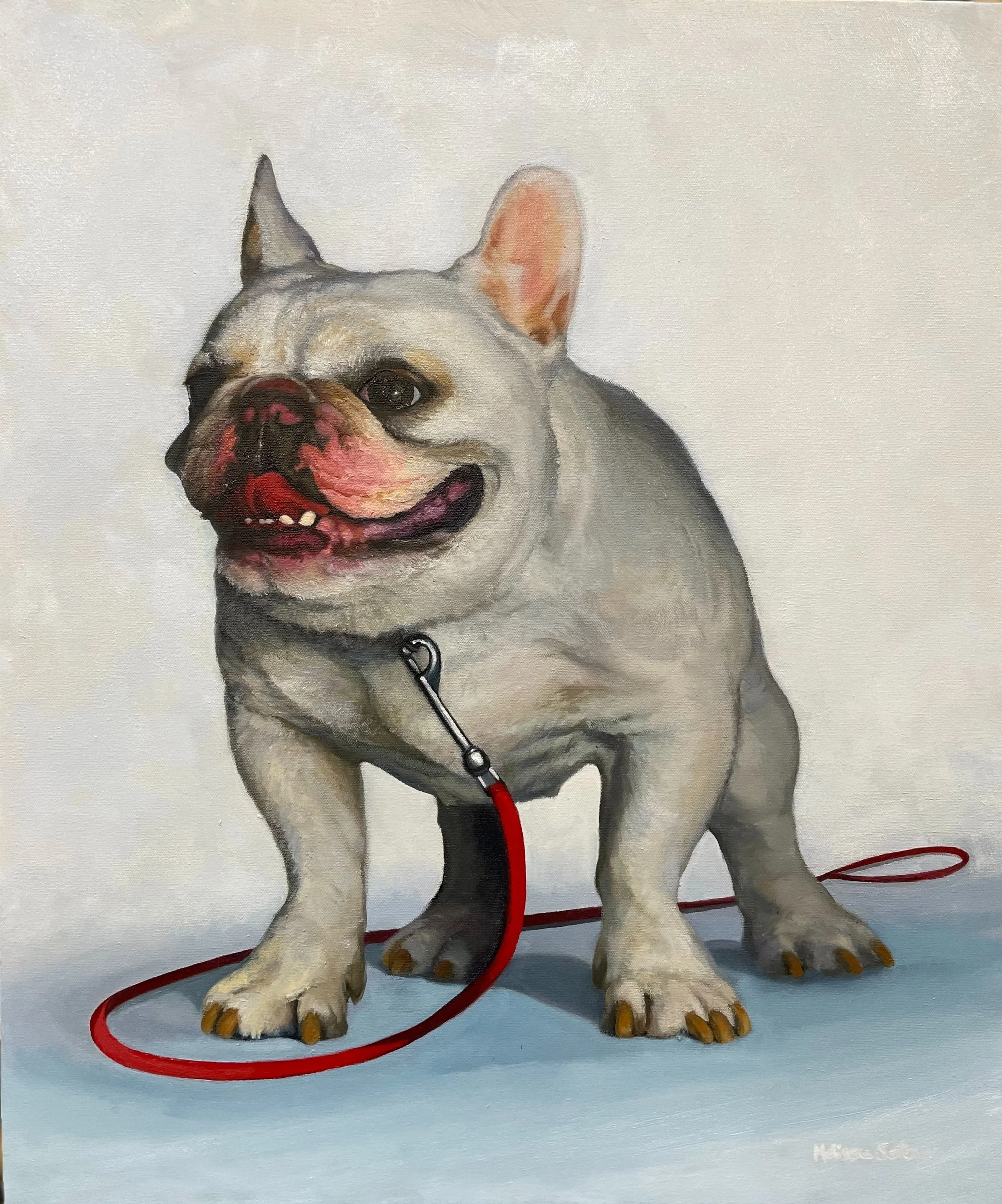 Red Leash 24" x 26"