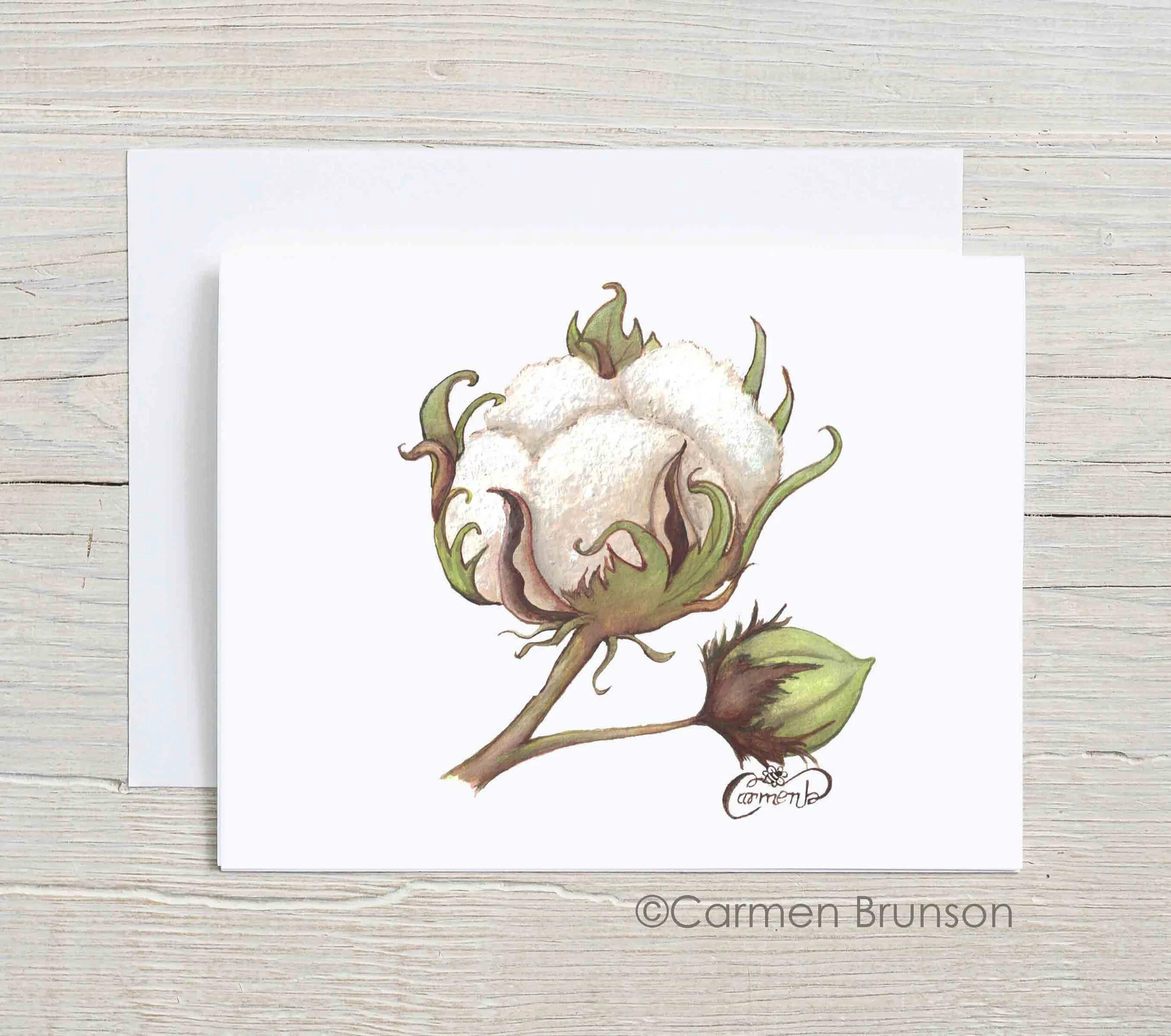 Cotton Greeting Card set.jpg