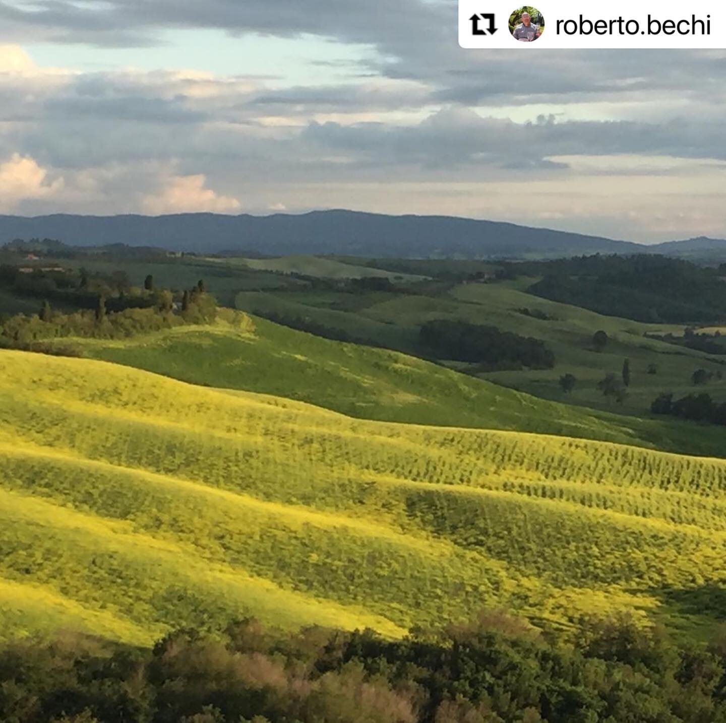 No filter here in Tuscany! GC member @roberto.bechi adds some green to our very blue feed!

Dreaming of Tuscany right now?

#Repost @roberto.bechi with @make_repost
・・・
Tuscany without  filters !
#tuscany #hillcountry #hillside#countryside #landscape