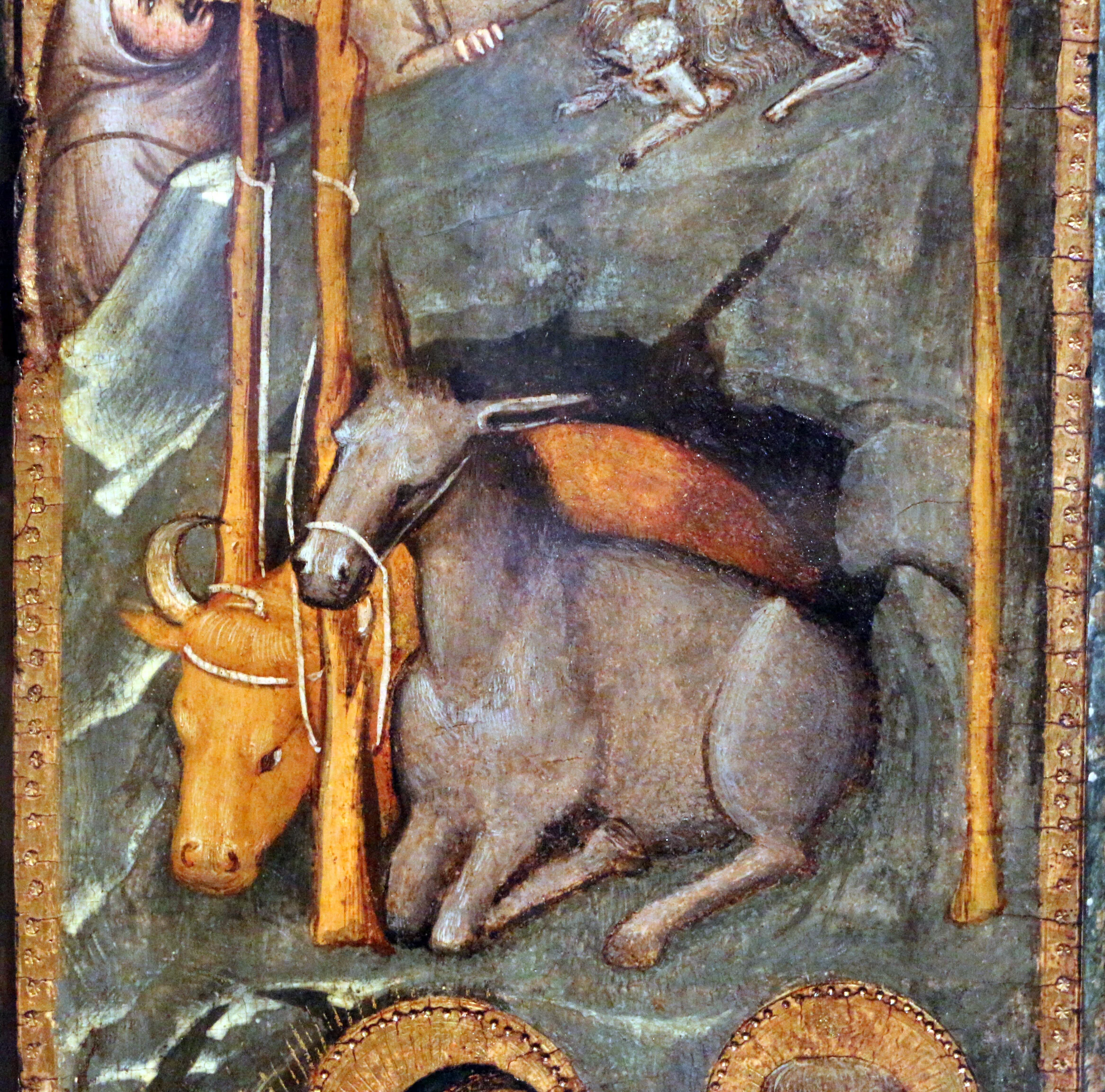 Donkey and Ox