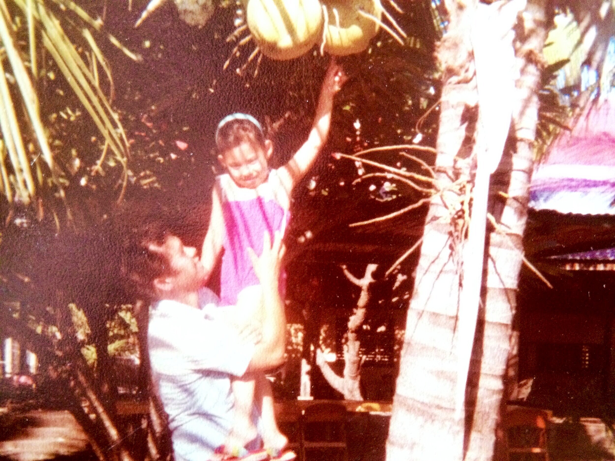 My dad (Pablito) helps me (try) to pick a coconut during our trip to the Philippines.