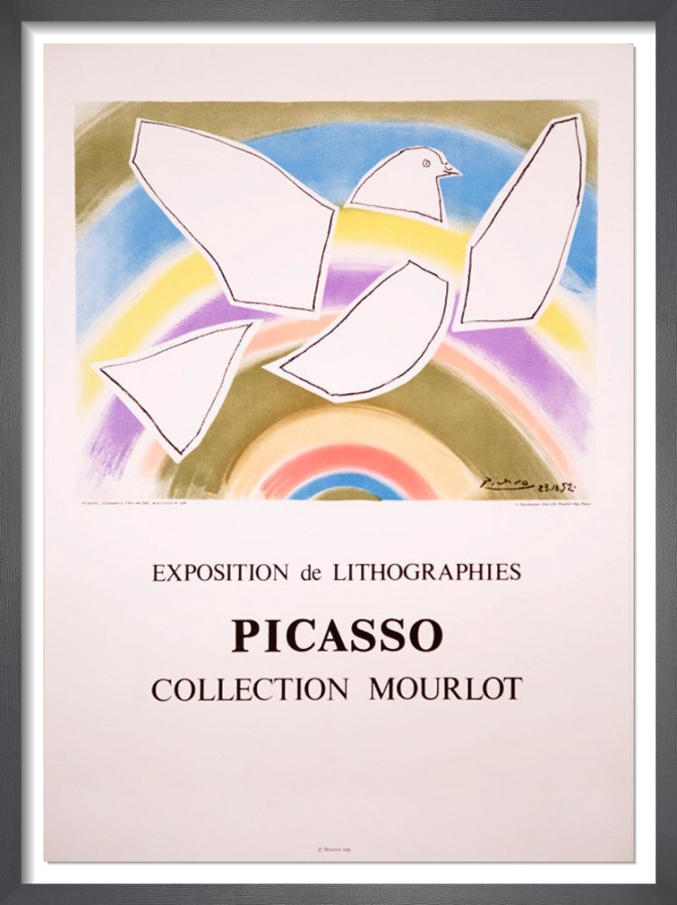 Picasso the rainbow dove