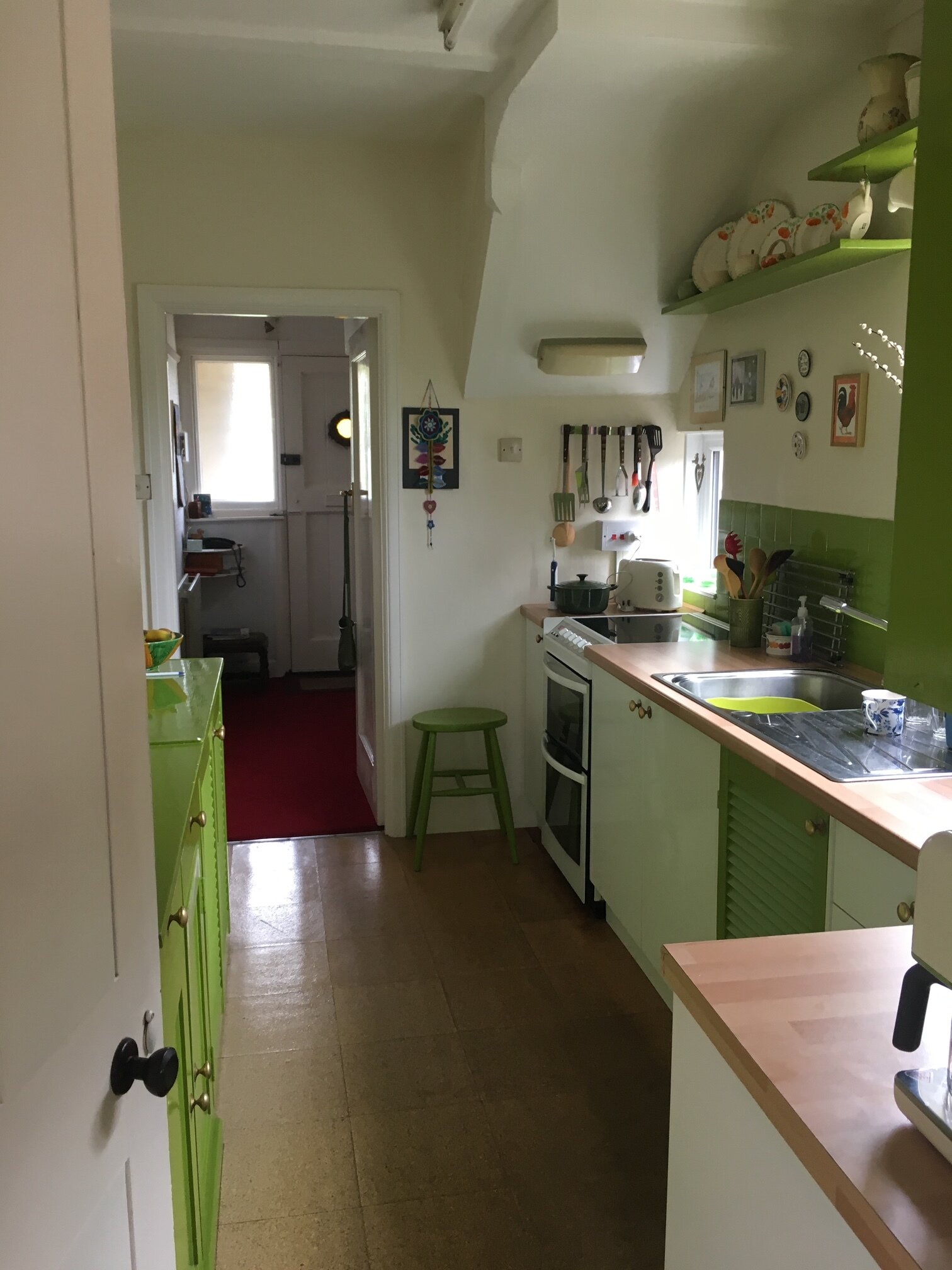 green galley kitchen