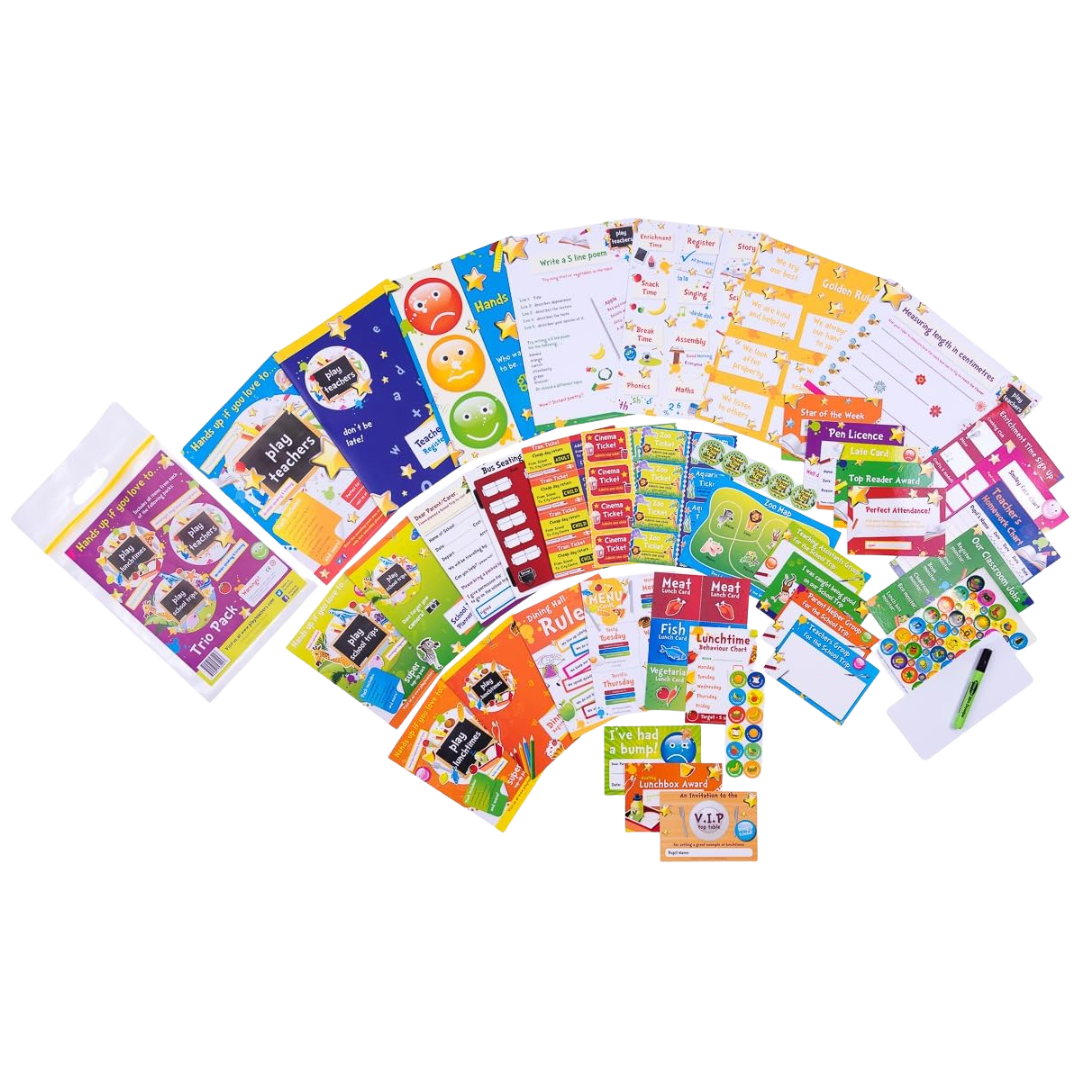 Play Teachers Set