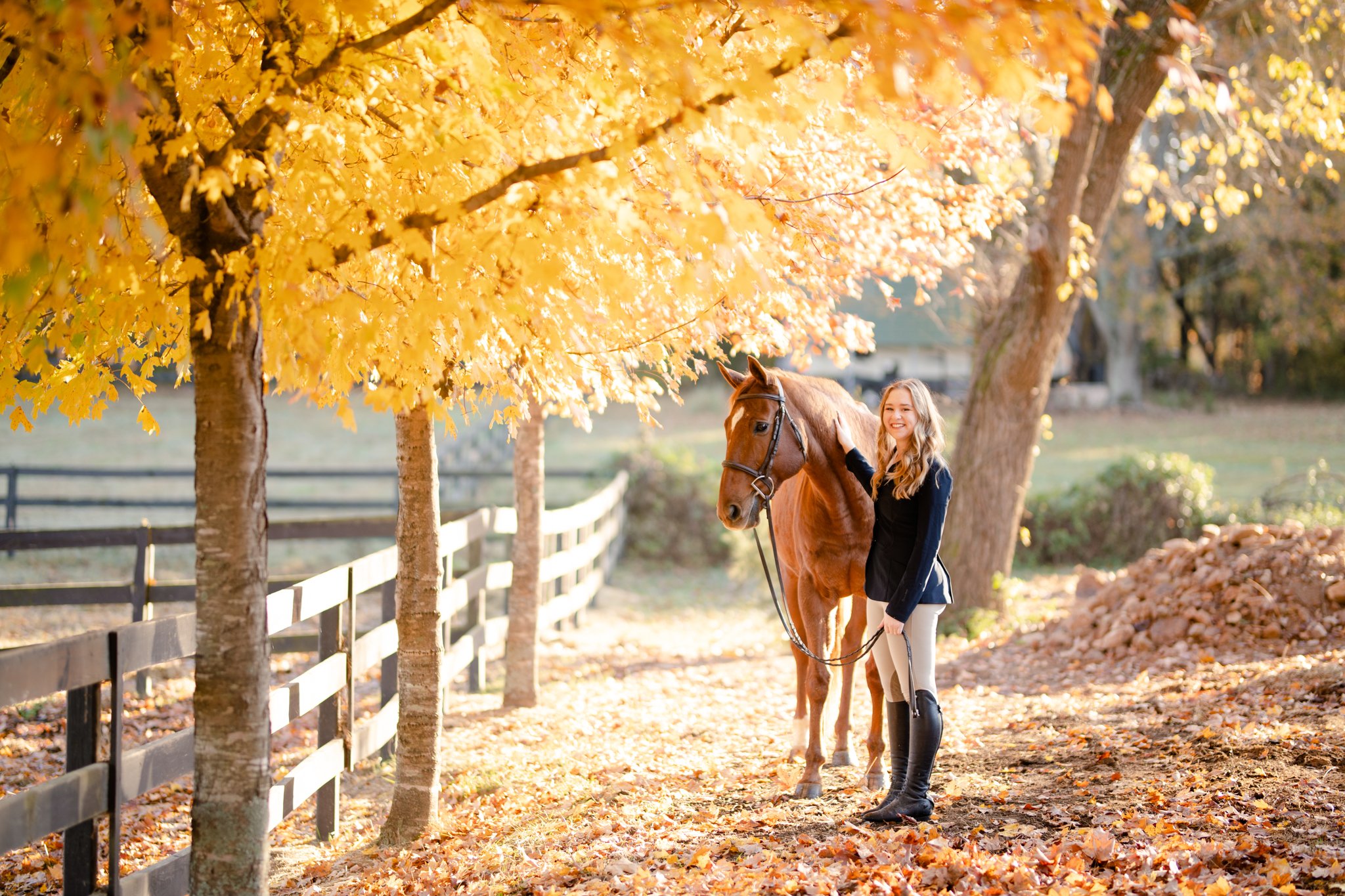 DavidsonEquestrianWEB | Equine | 11132021-28.jpg