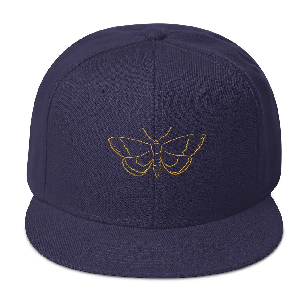 snapback-navy-blue-front-6a174972a93dd.jpg