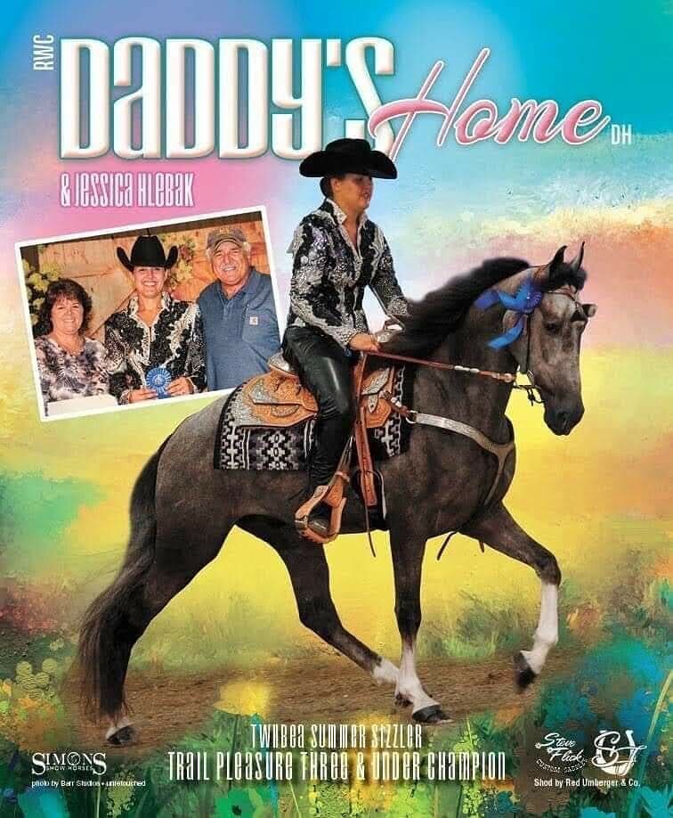 Southern Gaits Farm will be represented by some outstanding flat shod under-saddle offspring of Daddy's Cash in The Celebration show ring for their owners and trainers! We are so proud of these young horses all throughout the show season, and we wish