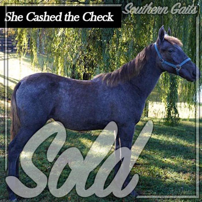 She cashed the check SOLD.jpg