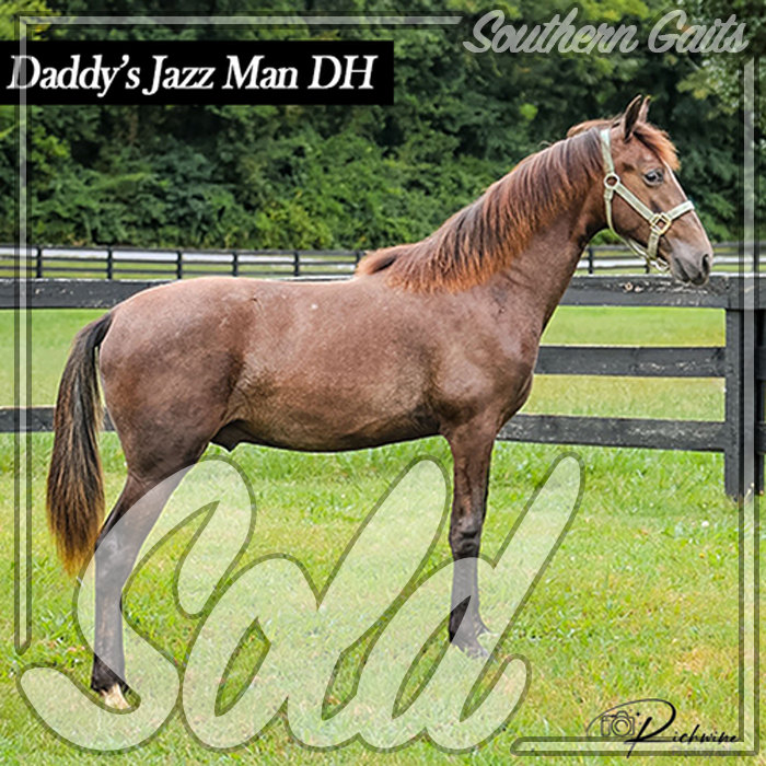 daddys jazz man sold pic.png